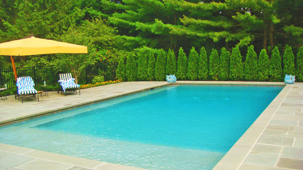 Diseño de piscina rectangular en patio trasero