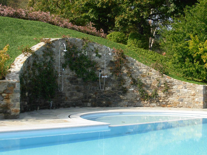 Immagine di un'ampia piscina naturale tradizionale rettangolare dietro casa con pavimentazioni in pietra naturale
