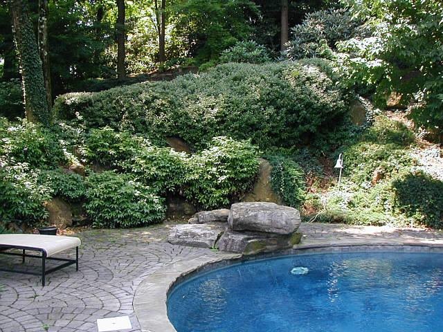 Design ideas for a large classic back custom shaped natural swimming pool in Other with brick paving.