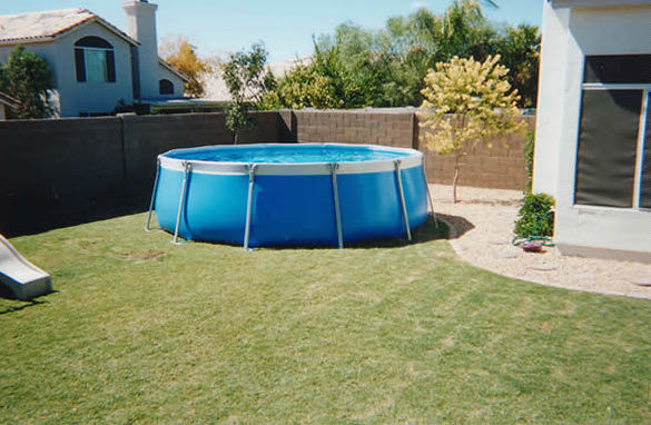 Imagen de piscina elevada grande redondeada en patio trasero