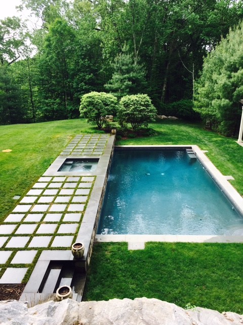 Foto de piscinas y jacuzzis alargados contemporáneos grandes rectangulares en patio trasero con adoquines de hormigón
