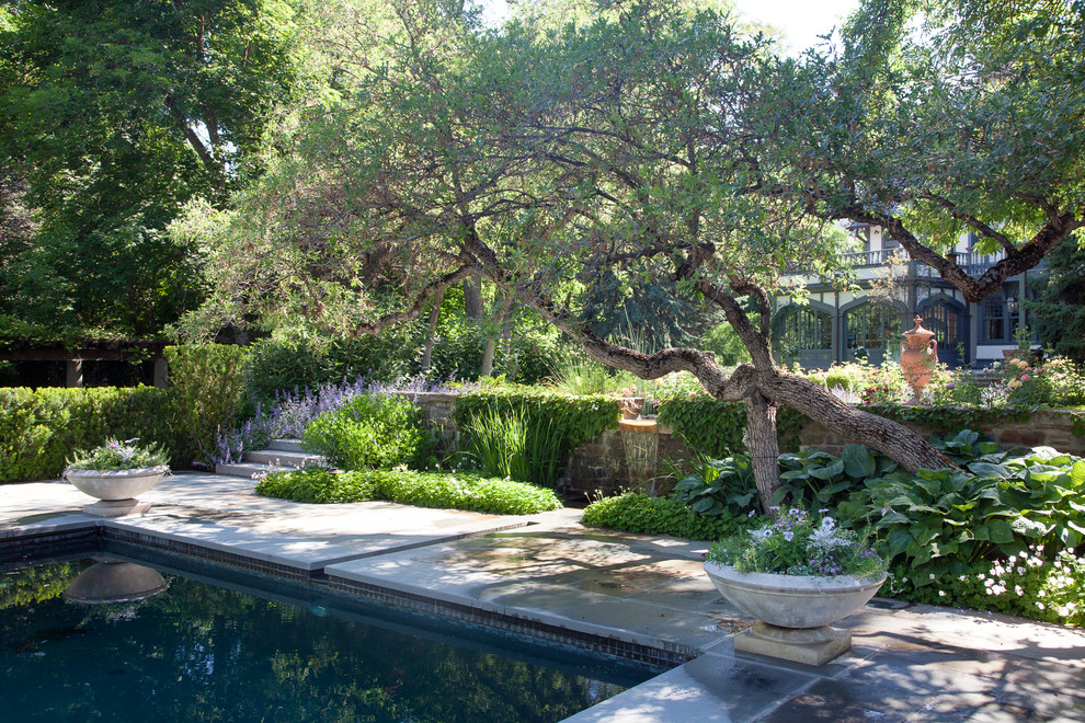 Modelo de piscina con fuente tradicional renovada rectangular en patio trasero con suelo de hormigón estampado