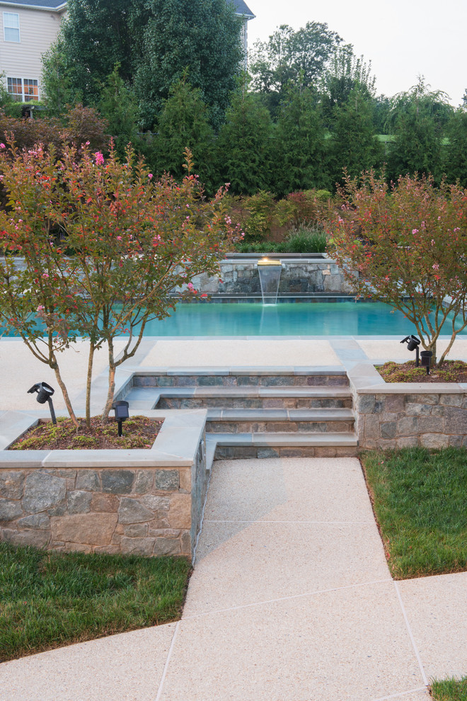 Design ideas for a contemporary rectangular swimming pool in DC Metro.