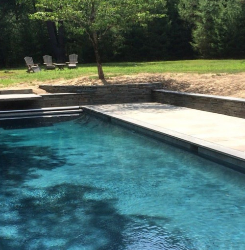 Ejemplo de piscina contemporánea con paisajismo de piscina y adoquines de piedra natural