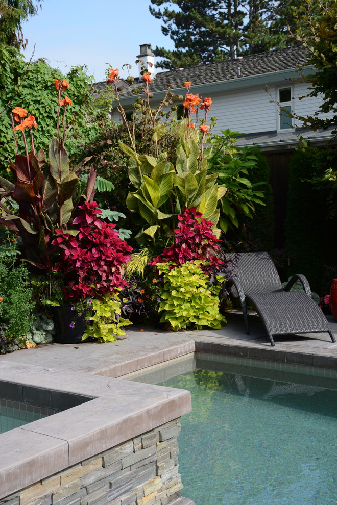 Example of an island style pool design in Vancouver