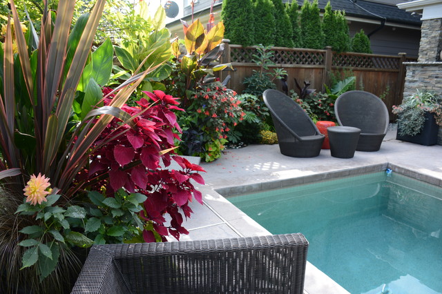 Container Gardens For Pools Designs Courtyard Garden,lily