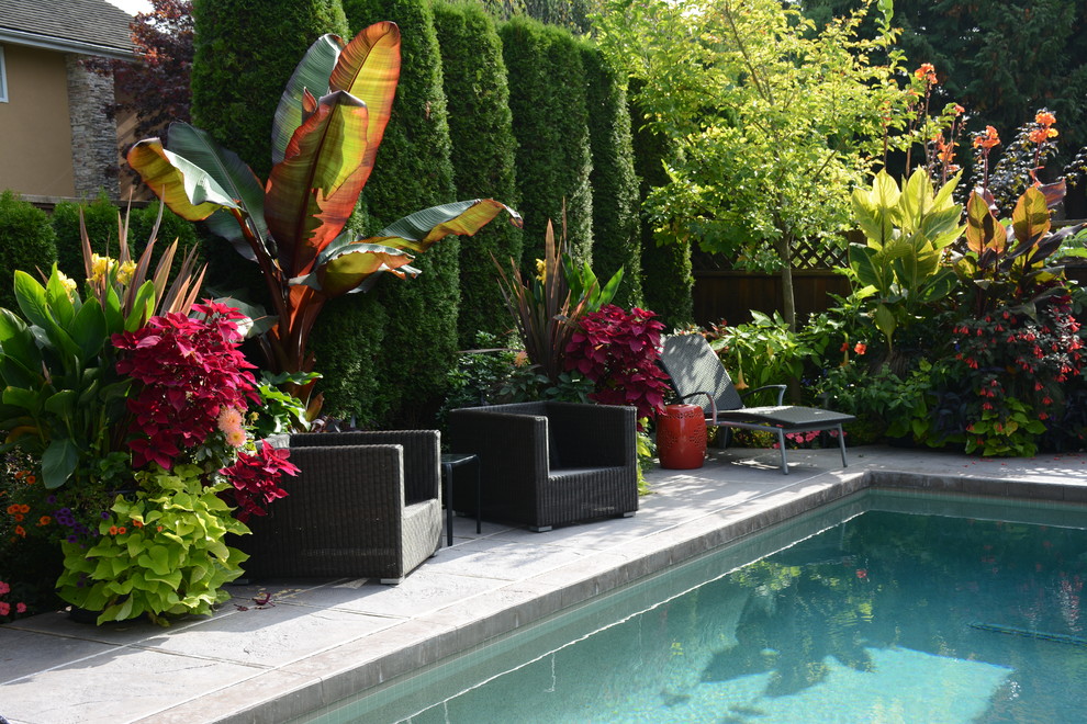 Poolside Garden and Containers - Tropical - Pool - Vancouver - by ...