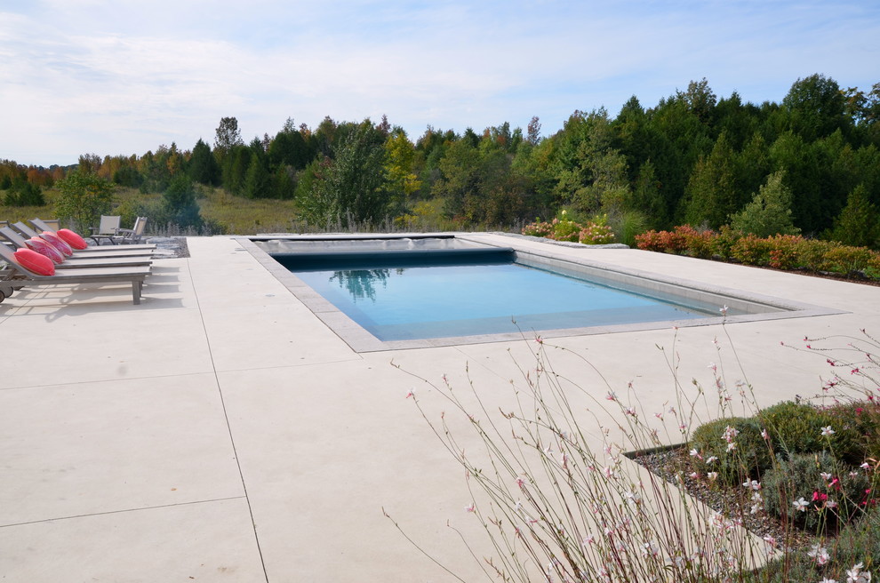 Esempio di una grande piscina moderna rettangolare dietro casa con lastre di cemento