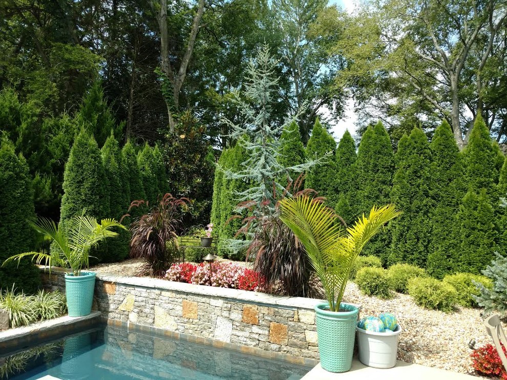 Diseño de piscinas y jacuzzis alargados tradicionales de tamaño medio rectangulares en patio trasero con suelo de hormigón estampado
