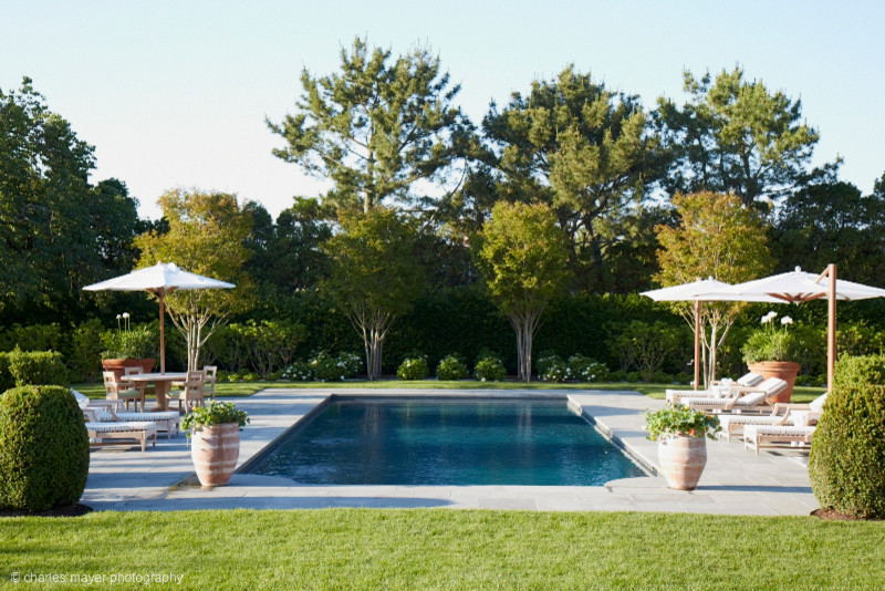 Ejemplo de piscina alargada clásica grande rectangular en patio trasero