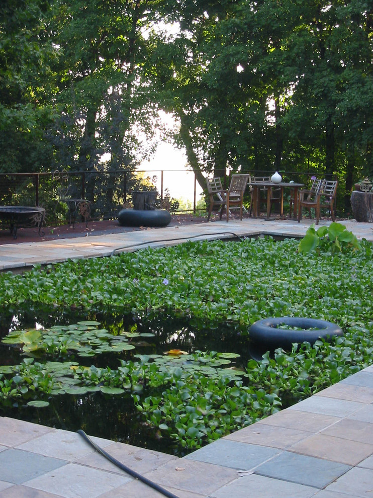 Private Residence/ Chesterfield Pool St Louis by LEWISITES