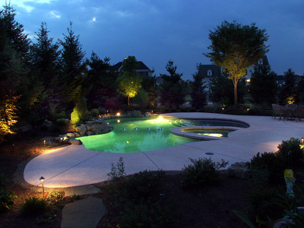 Свежая идея для дизайна: маленький естественный бассейн произвольной формы на заднем дворе в современном стиле с джакузи для на участке и в саду - отличное фото интерьера