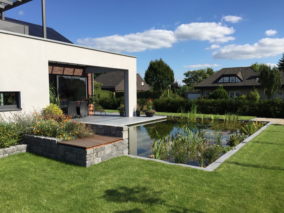 Ispirazione per una piscina naturale design personalizzata dietro casa e di medie dimensioni con lastre di cemento