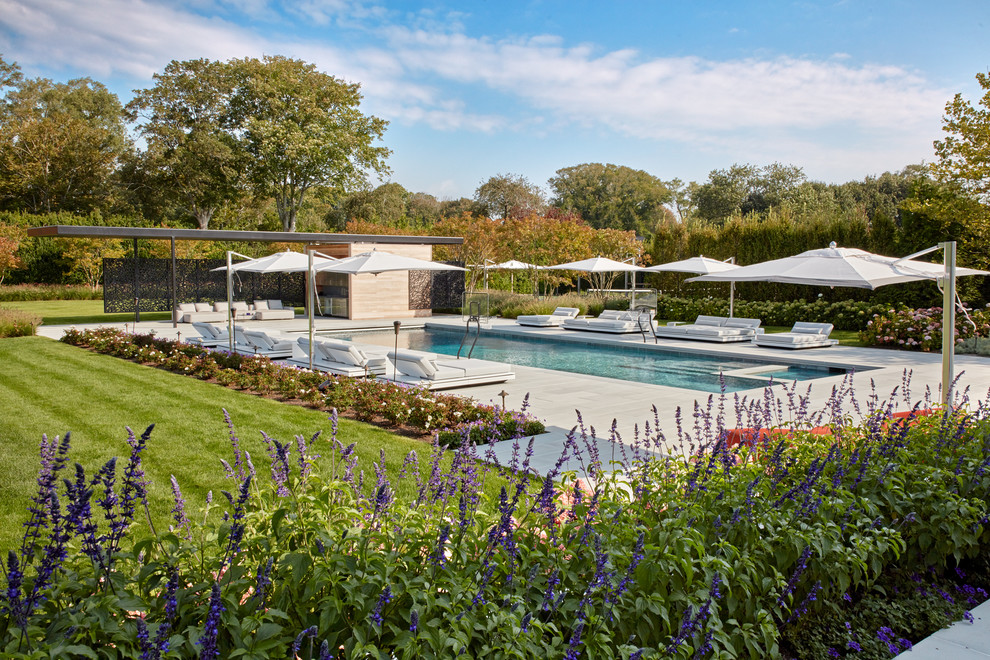 Foto de piscinas y jacuzzis alargados retro rectangulares en patio trasero con losas de hormigón