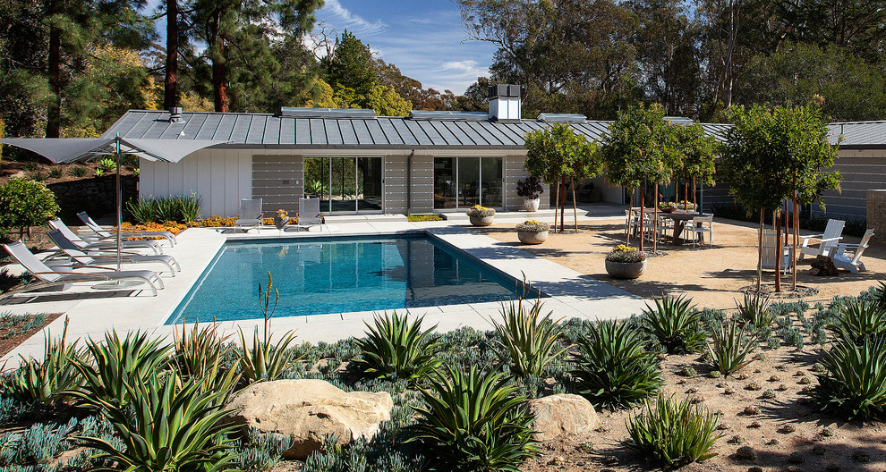 Idéer för en mellanstor modern pool på baksidan av huset, med betongplatta