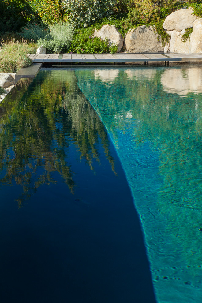 Imagen de piscina costera grande en patio trasero