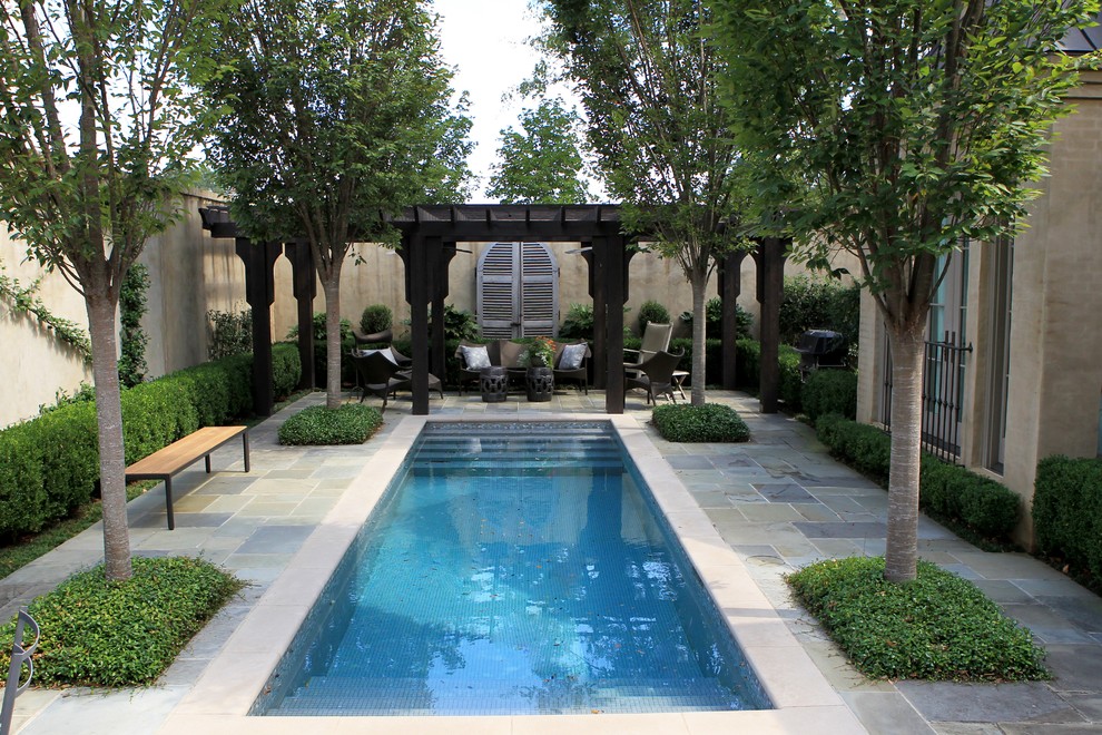 Recent Projects - Contemporary - Pool - Birmingham - by Daviscapes, Inc ...