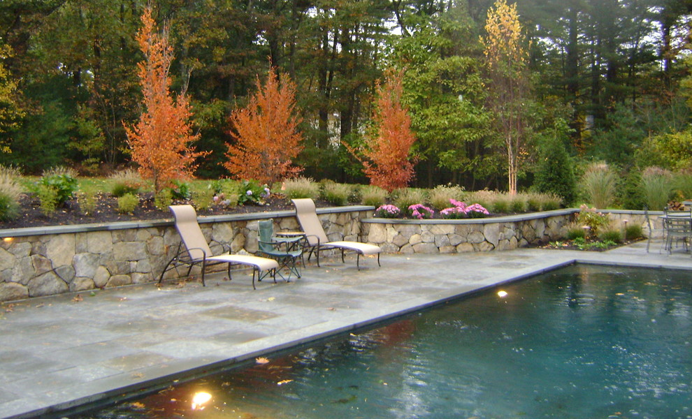 Design ideas for a traditional swimming pool in Boston.