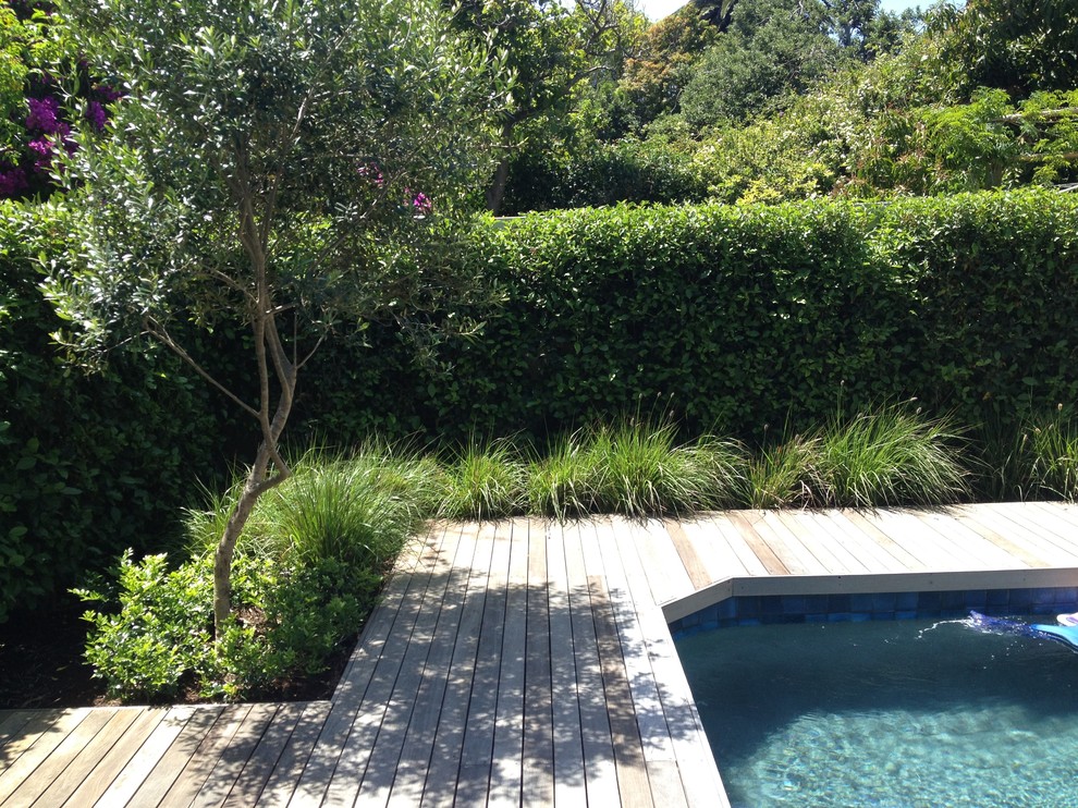 Immagine di una piscina naturale design rettangolare di medie dimensioni e dietro casa con pedane