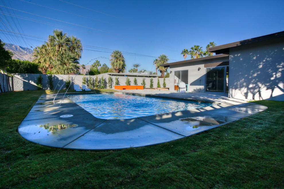 Design ideas for a midcentury swimming pool in Los Angeles.