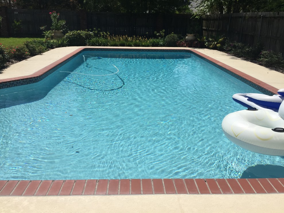This is an example of a medium sized contemporary back custom shaped natural swimming pool in New Orleans.