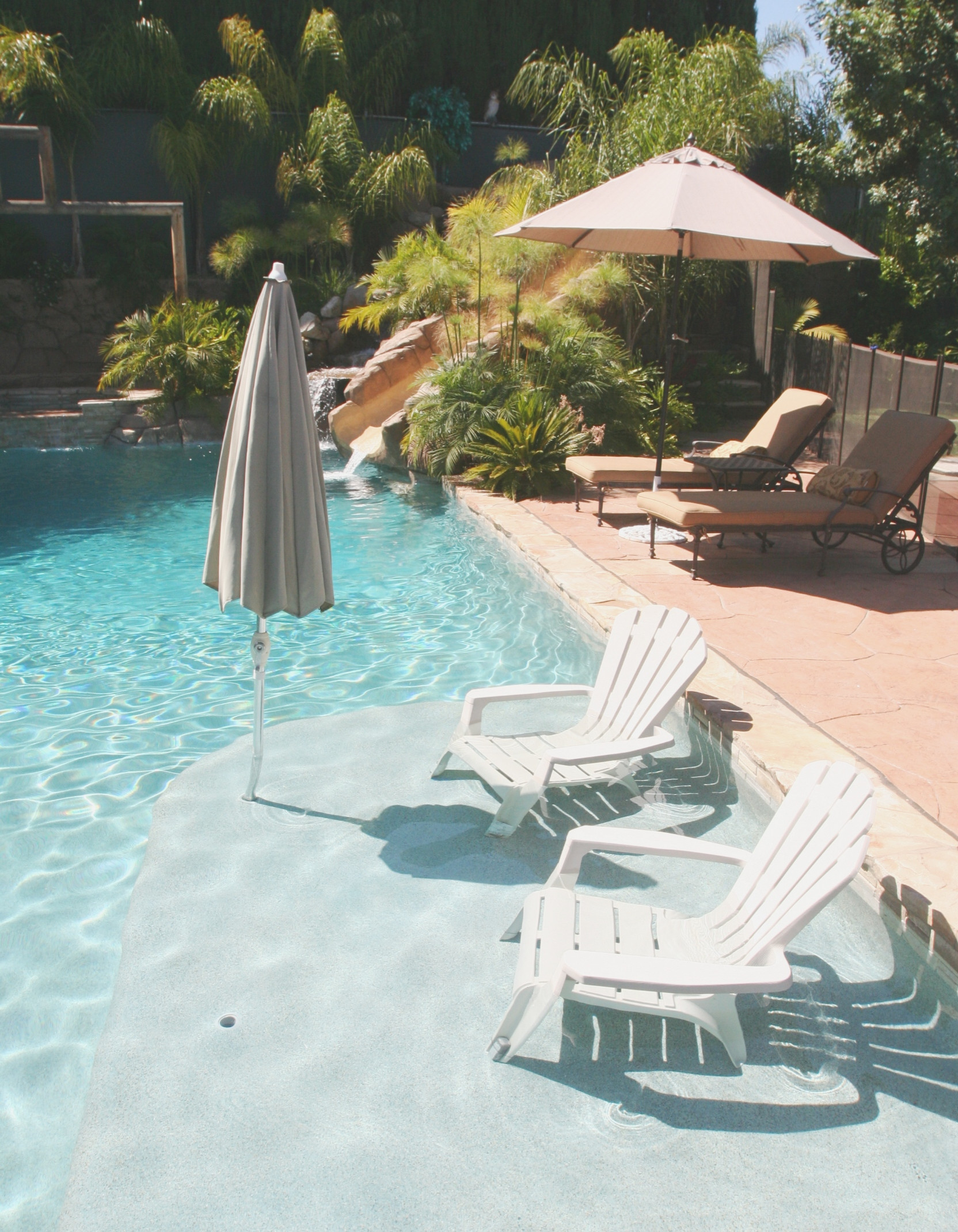 xclusive outdoor living pool orlando reviews on 75 Beautiful Tropical Pool Pictures Ideas May 2021 Houzz