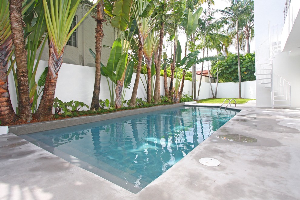 Modern swimming pool in Miami.