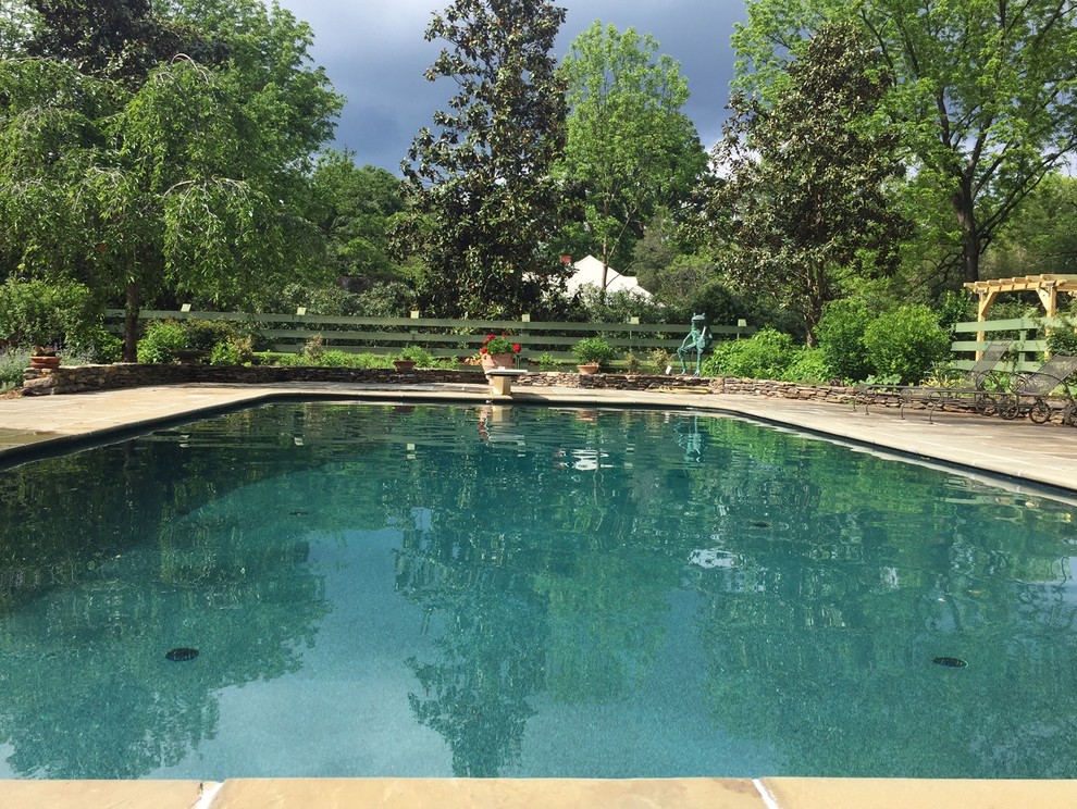 Ejemplo de piscina natural tradicional de tamaño medio rectangular en patio trasero con adoquines de piedra natural