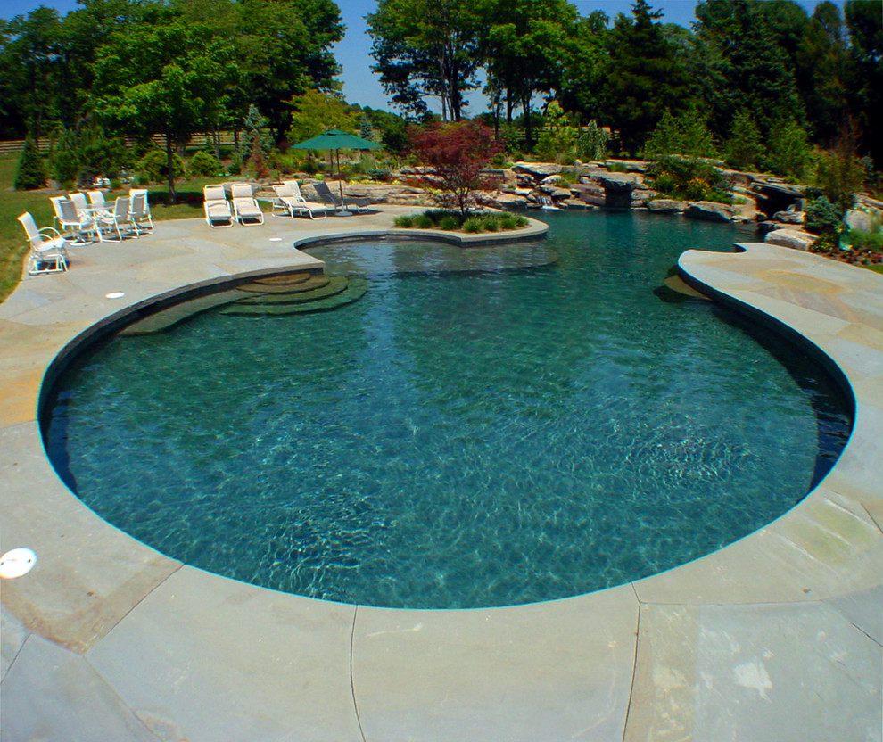Residential Pools Traditional Pool New York by Creative Master