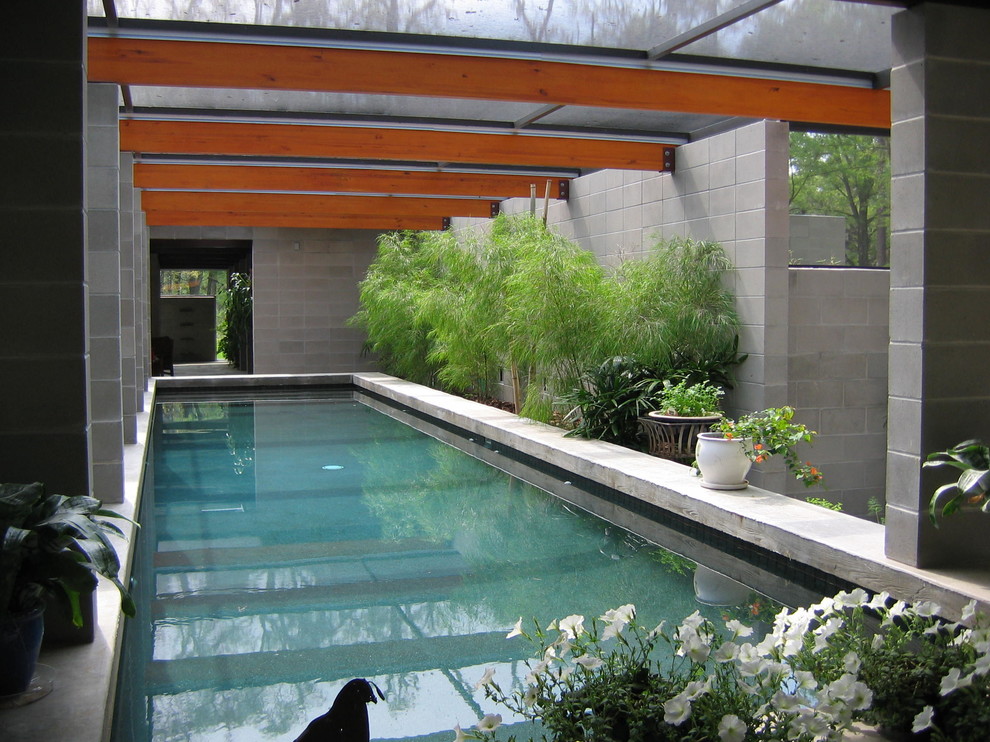 Источник вдохновения для домашнего уюта: прямоугольный бассейн в доме в стиле модернизм