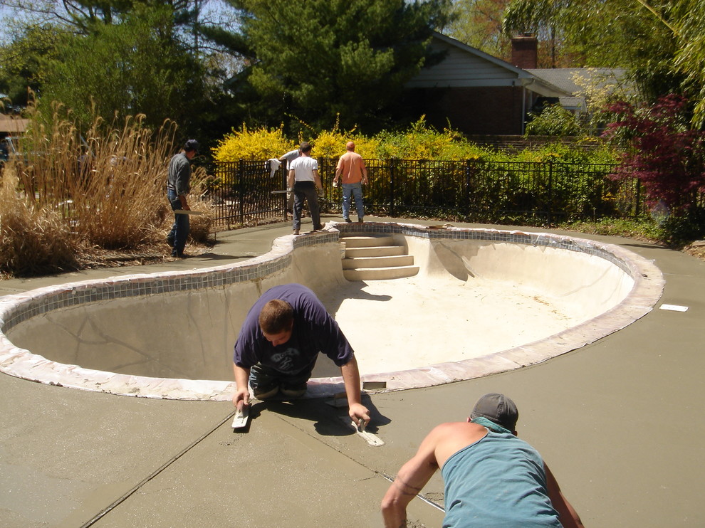 Пример оригинального дизайна: естественный бассейн среднего размера, в форме фасоли на заднем дворе в классическом стиле с покрытием из бетонных плит