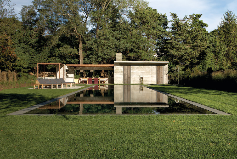 Immagine di una piscina monocorsia design rettangolare dietro casa con una dépendance a bordo piscina