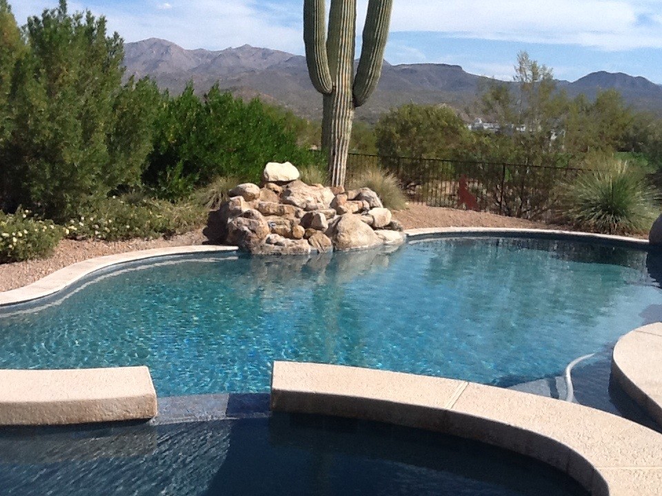Mittelgroßer Pool hinter dem Haus in individueller Form mit Dielen in Phoenix