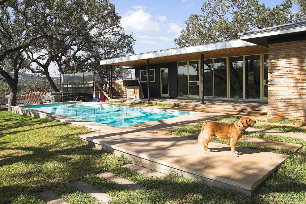 Moderner Pool in rechteckiger Form in Austin