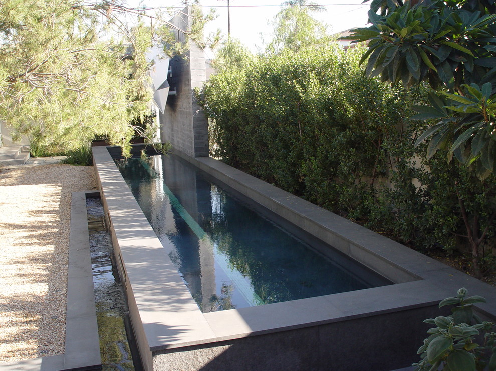 Inspiration for a modern swimming pool in Los Angeles.