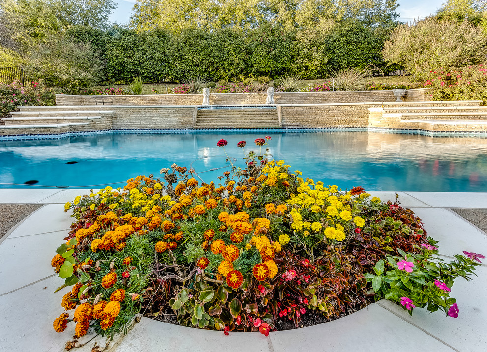 Foto di una grande piscina monocorsia classica personalizzata dietro casa con fontane e lastre di cemento