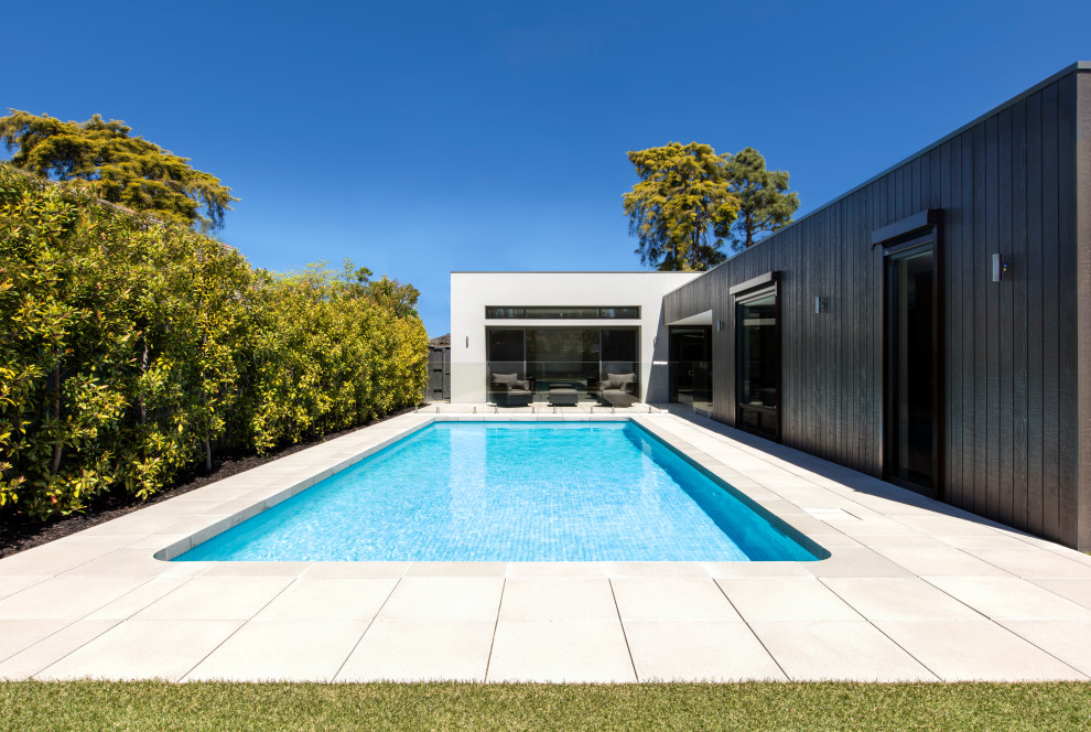 Стильный дизайн: большой бассейн на заднем дворе в стиле модернизм с перегородкой для приватности и мощением тротуарной плиткой - последний тренд
