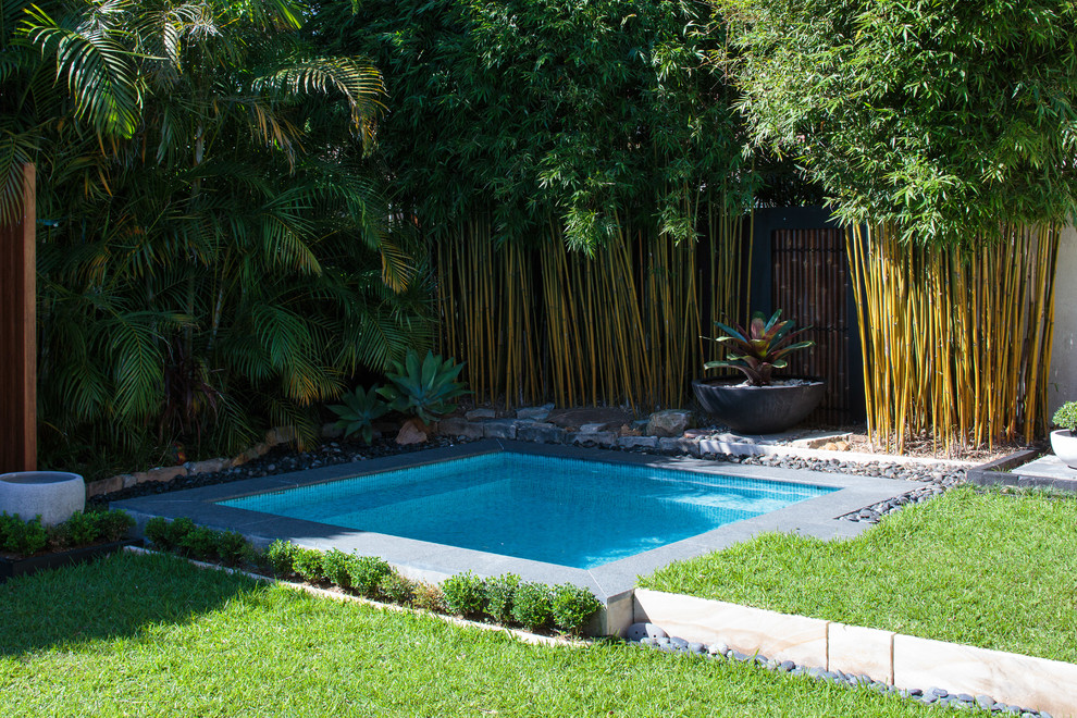 Ejemplo de piscina moderna pequeña rectangular en patio trasero con adoquines de hormigón