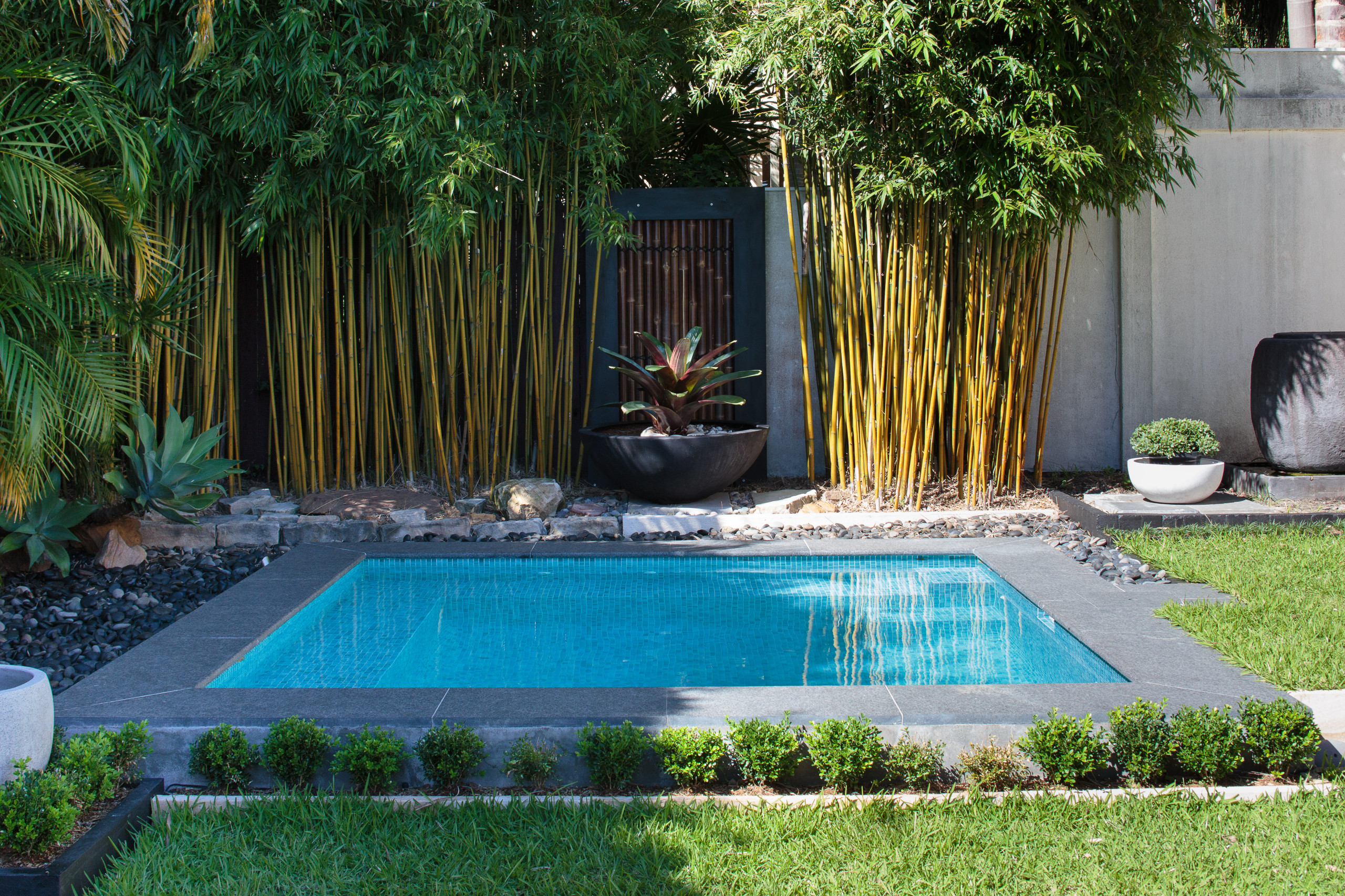 Roseville Plunge Pool Modern Pool Sydney By Crystal Pools Houzz