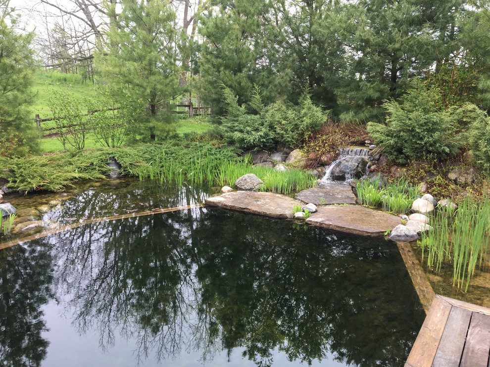 Cette image montre une piscine naturelle et arrière rustique de taille moyenne et sur mesure avec un point d'eau et une terrasse en bois.