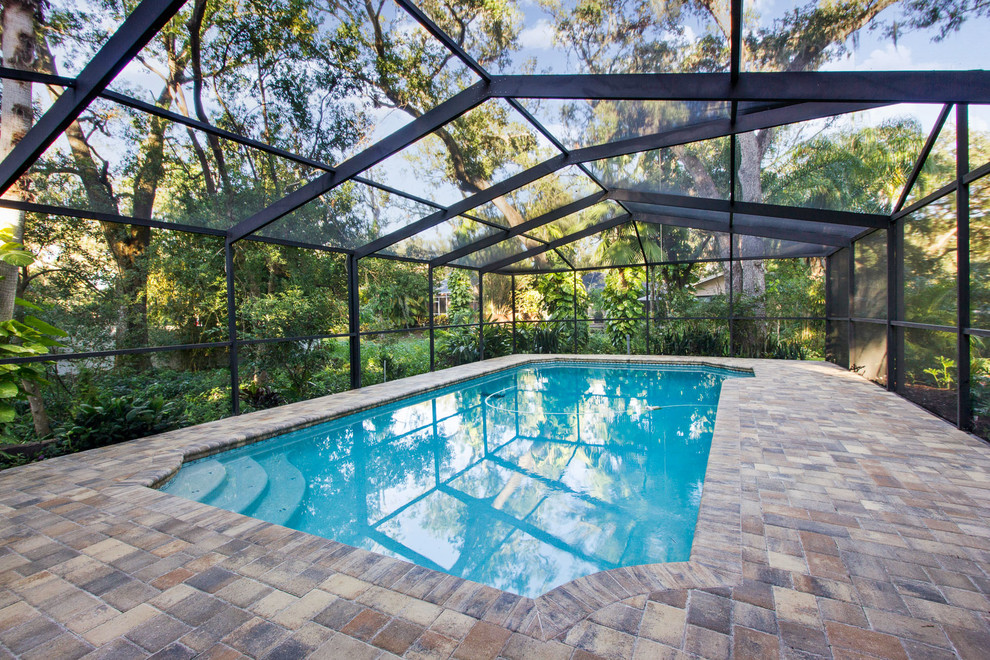 Example of a trendy pool design in Tampa
