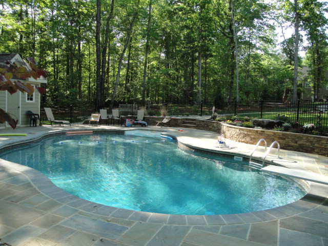 Large modern back kidney-shaped natural swimming pool in Raleigh with a pool house and natural stone paving.