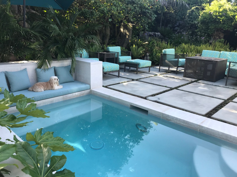Diseño de piscinas y jacuzzis naturales modernos pequeños rectangulares en patio trasero