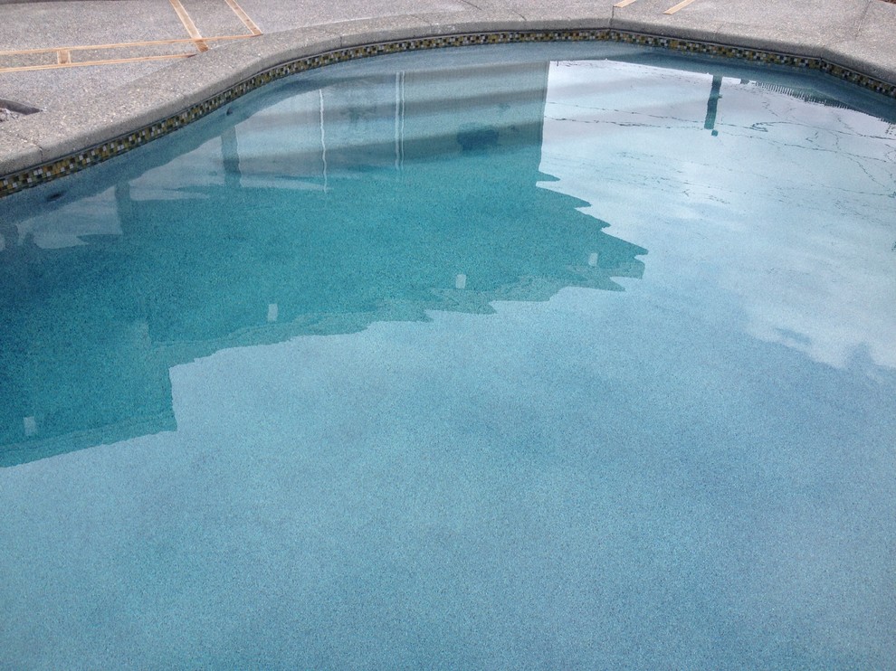 Inspiration for a contemporary swimming pool in San Francisco.