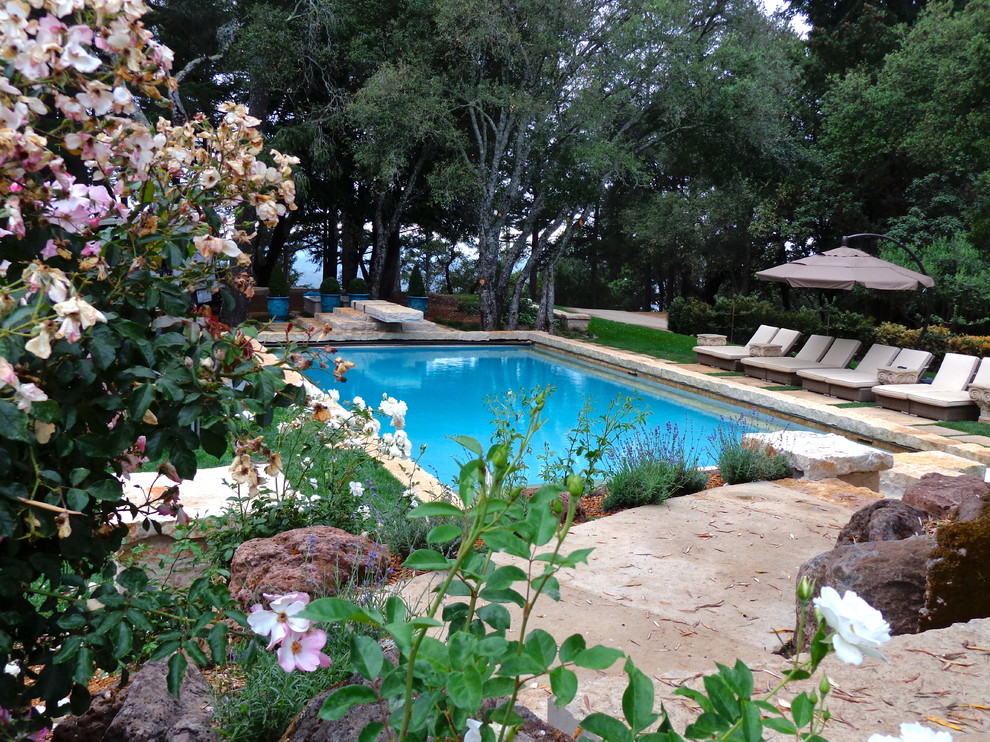 Esempio di una grande piscina monocorsia tradizionale rettangolare con pavimentazioni in pietra naturale