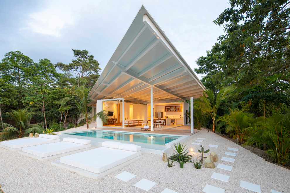 Foto di una piscina tropicale di medie dimensioni