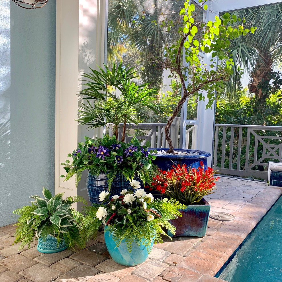 Sarasota Pool Lanai Tropical Pool Other by LanaiScapes LLC Houzz