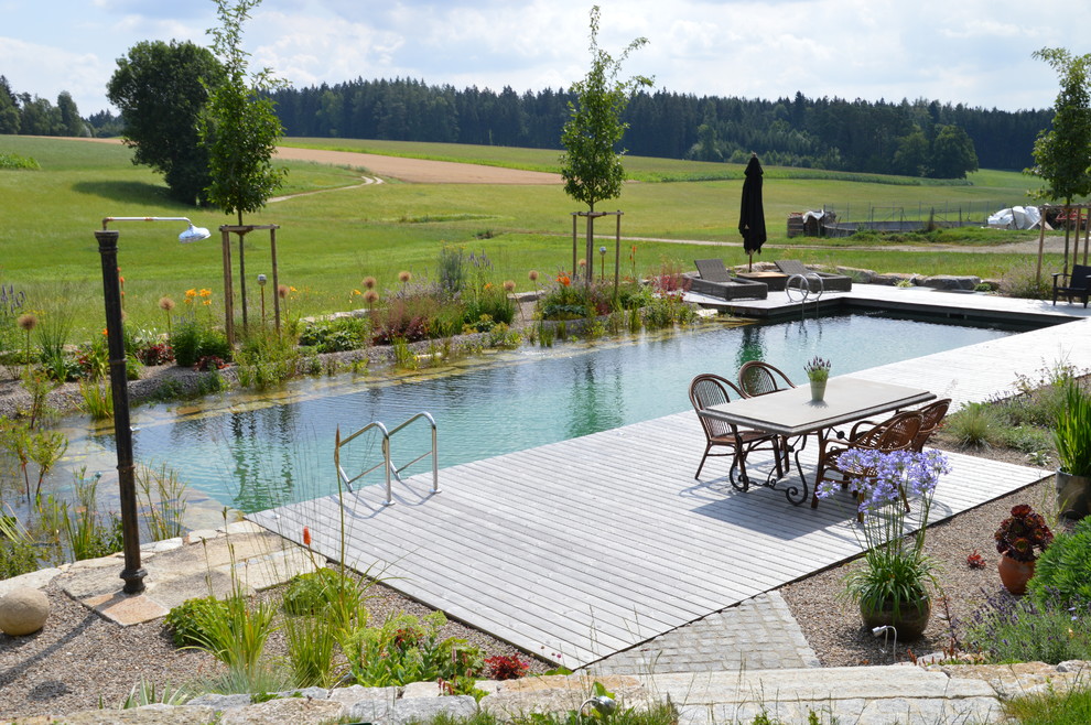 Exemple d'une piscine naturelle et arrière nature rectangle et de taille moyenne avec une terrasse en bois.