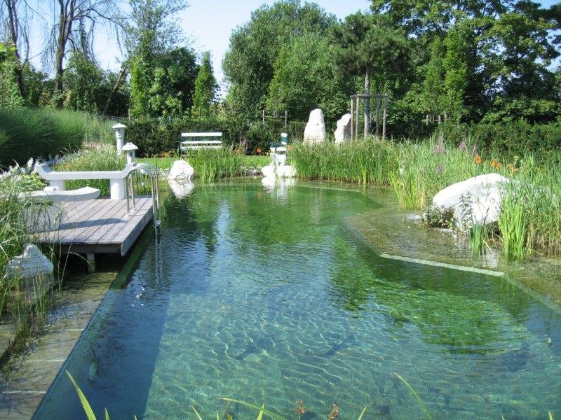 Schwimmteich - Contemporary - Pool - Other - by Garten- und ...