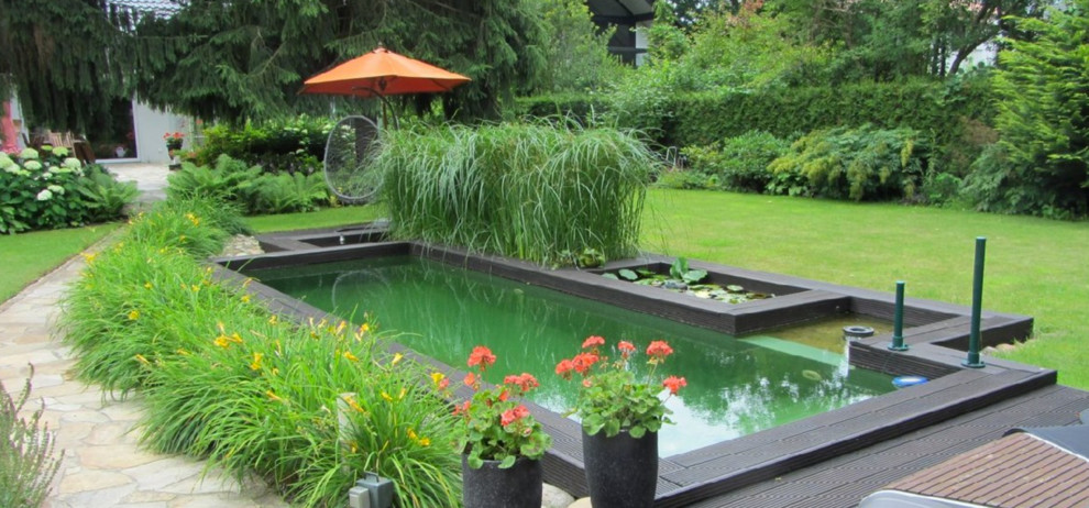 Diseño de piscina natural actual pequeña rectangular en patio lateral con entablado